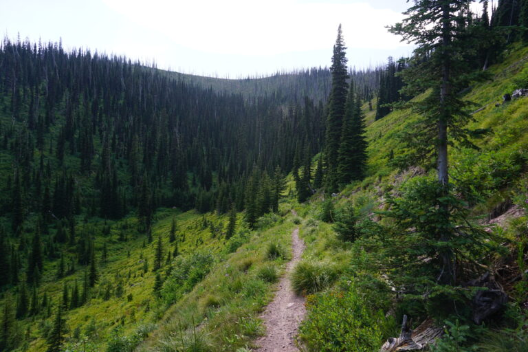 Day 09: dispersed camping to Seeley Lake