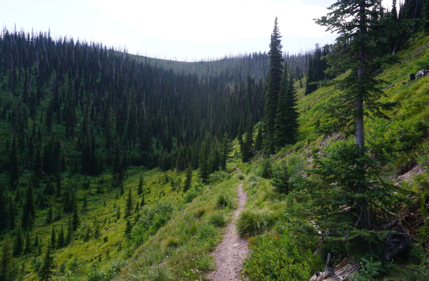 Day 09: dispersed camping to Seeley Lake