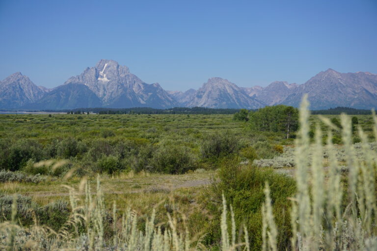 Day 19: Colter Bay Campground to informal campground