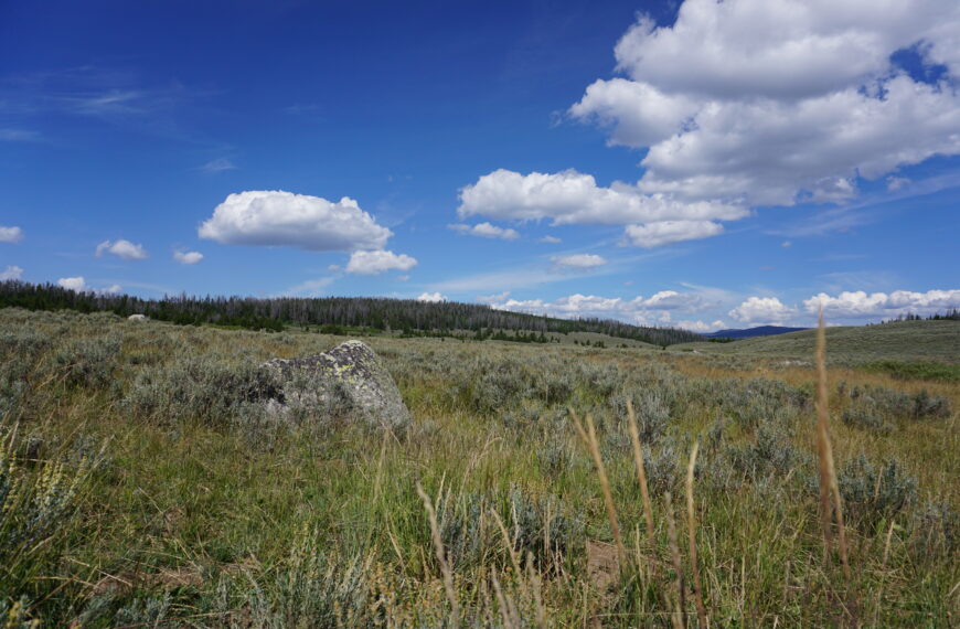 Day 20: Informal Campground to Pinedale