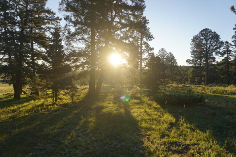 Day 35: Informal Campground to Abiquiu