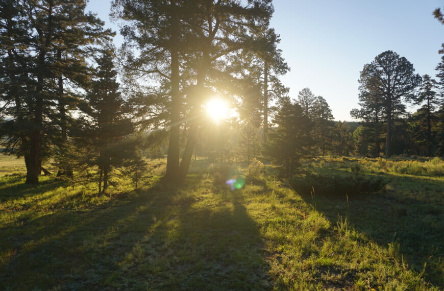 Day 35: Informal Campground to Abiquiu