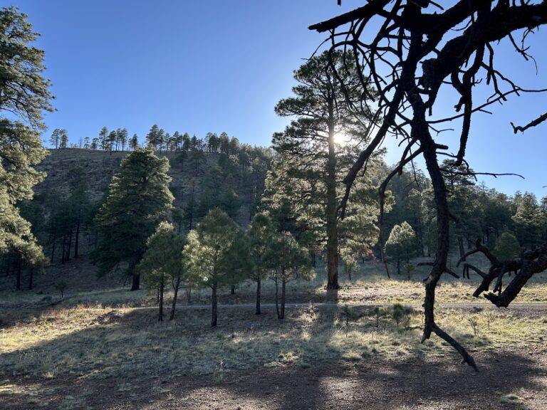 Day 11: Dispersed campsite north of Sedona to a dispersed campsite north of Flagstaff