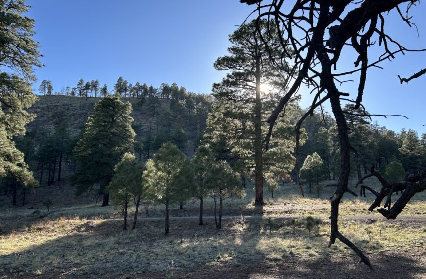 Day 11: Dispersed campsite north of Sedona to a dispersed campsite north of Flagstaff