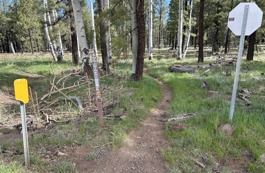 Day 12: Dispersed campsite north of Flagstaff to dispersed campsite just outside Grand Canyon N.P.