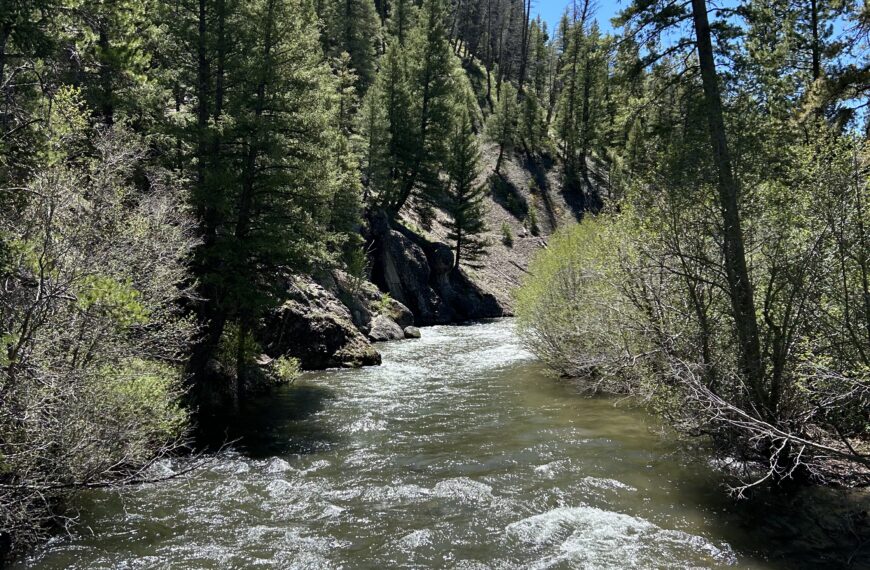 Day 28: Dispersed campsite before Bellevue to dispersed campsite 45km after Ketchum